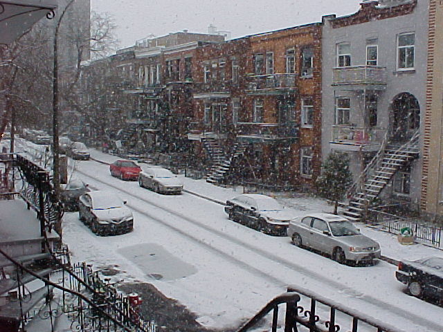 rue Cartier in the Winter